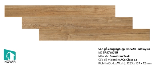 Sàn gỗ inovar 12mm - DV879