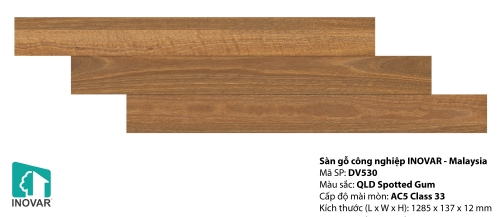 Sàn gỗ inovar 12mm - DV530