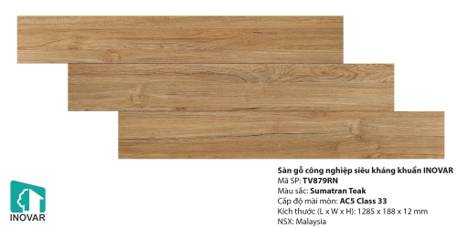 Sàn gỗ inovar 12mm - TV879N
