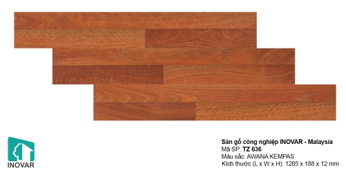 Sàn gỗ inovar 12mm - TZ636