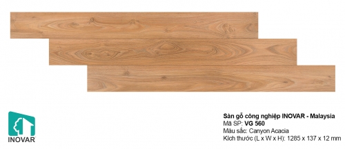 Sàn gỗ inovar 12mm - VG560